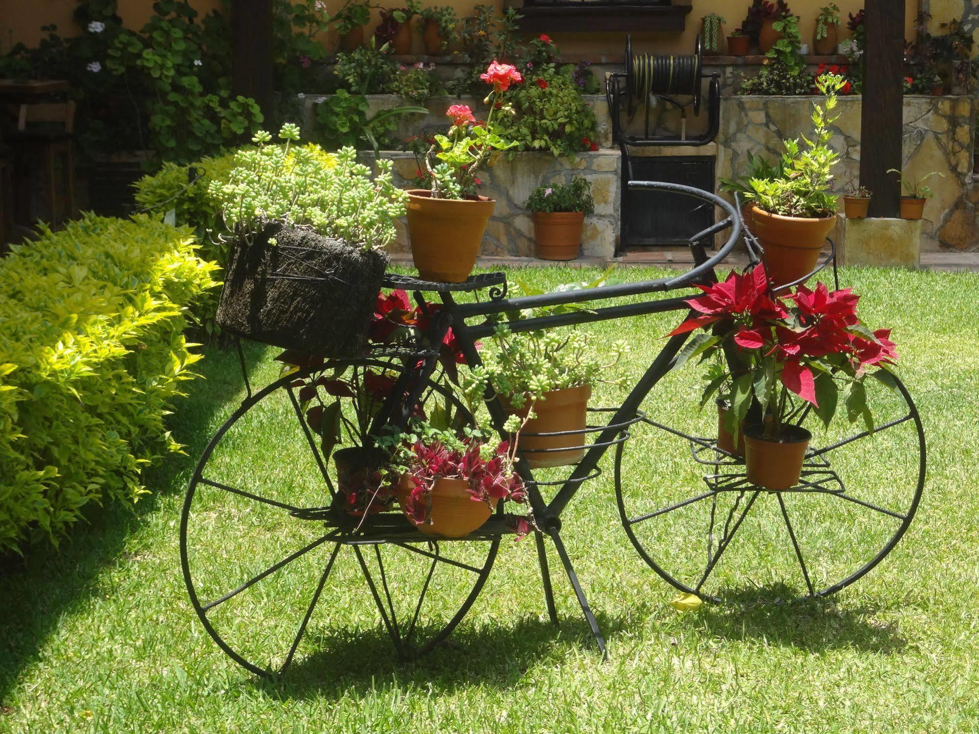 Nuestras Raices Hotel - Museo - Restaurante San Cristobal de las Casas Luaran gambar